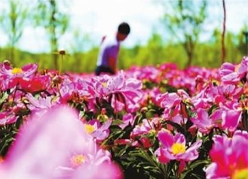 360截图20180606162920390