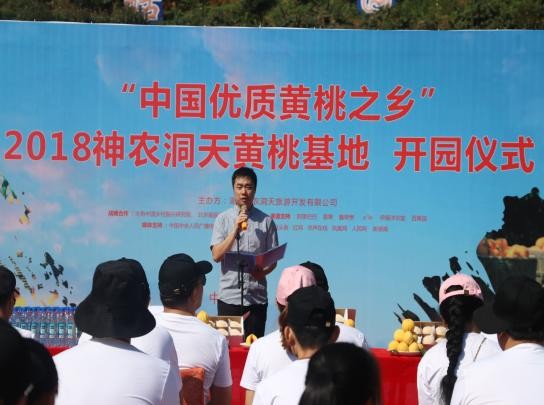 360截图20180725113650609