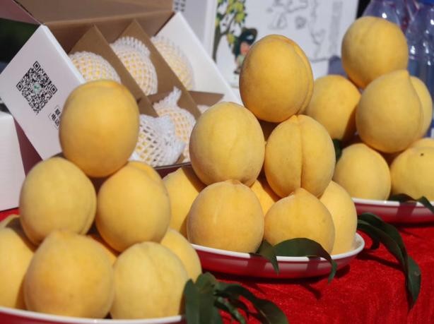 360截图20180725113713562