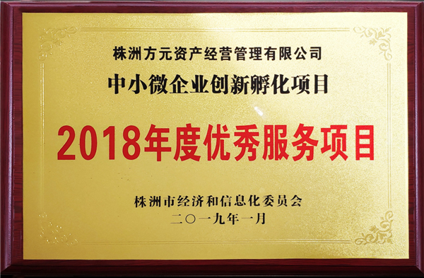 国投产业园公司孵化项目荣获“2018年度优秀服务项目”