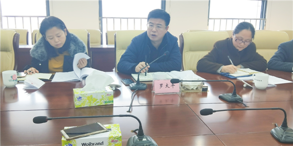 集团召开2018年度委派人员述职会议